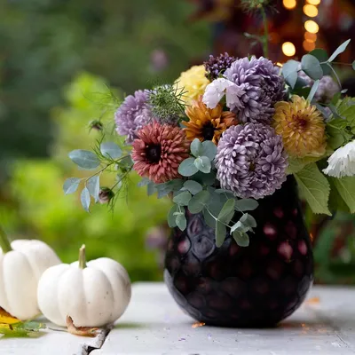 Осенние цветы для клумбы: список самых популярных, описание. — Украина