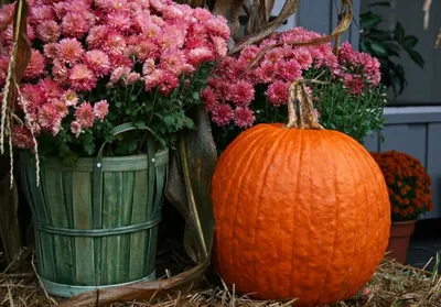 Осенние букеты. | Fall outdoor decor, Fun fall crafts, Fall decor diy