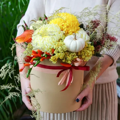 Разноцветные осенние цветы - хризантемы Stock Photo | Adobe Stock