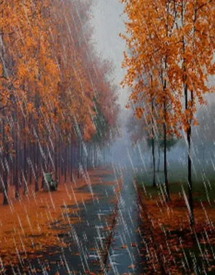 Осенний дождь фотографии