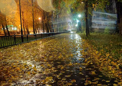 Фото Осенний дождь: застывшие капли на окнах