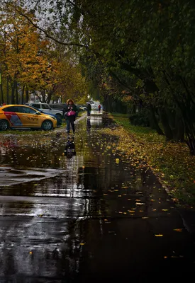 Осенний дождь: звезды, падающие с неба