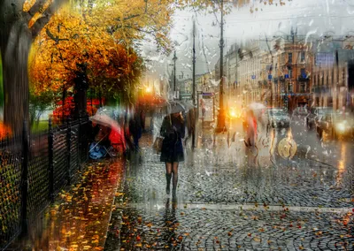 Фото Осенний дождь: акварельные краски природы