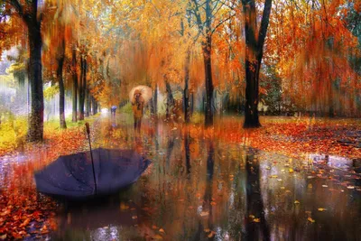 Фото Осенний дождь: настроение осени