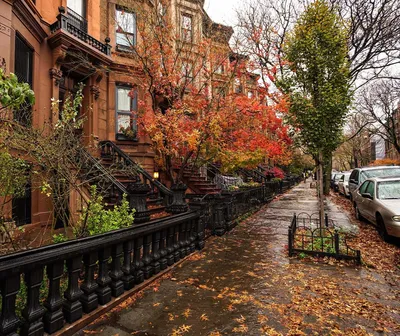 Вулиці осіннього Нью-Йорка (5 фото) • OTDIH.PRO