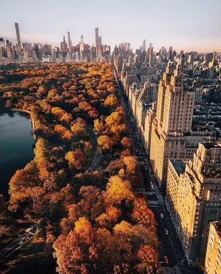 Осень в Нью-Йорке: портрет любимого города