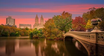 Picture New York City USA Autumn Pond Parks Cities Building