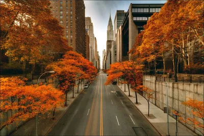 Осень в Нью Йорке - фото и картинки: 57 штук