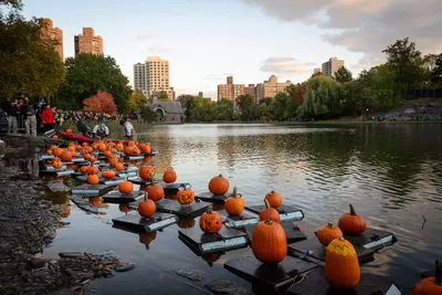Осенний вид на мост в Эмерсон Парк Оберн Нью-Йорк Стоковое Фото -  изображение насчитывающей нетиповых, восстановлено: 162751350