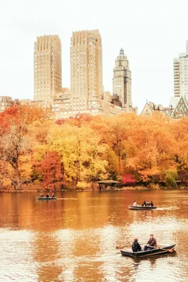Разноцветный осенний вид на Центральный парк в Нью-Йорке Редакционное  Стоковое Фото - изображение насчитывающей октябрь, падение: 157146448