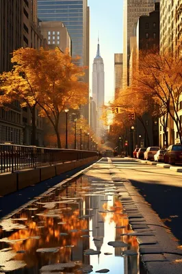 Осенний Нью-Йорк глазами и руками Illumination Entertainment | Пикабу