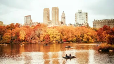 Осенний Центральный парк, Нью-Йорк Обои для рабочего стола 640x960