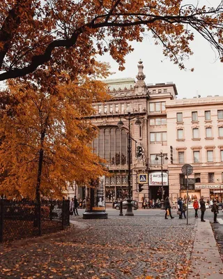 Прекрасный осенний Питер 😍 | Autumn in new york, Scenery, City aesthetic