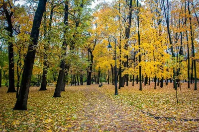Осенний Петербург. Сокращенная программа на 7 дней | Большая Страна