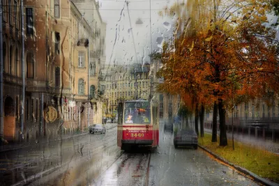 Осенний Питер | Санкт петербург, Городской пейзаж, Пейзажи
