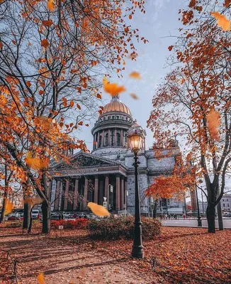 Осенний Питер #фото #осень #питер #октябрь | Instagram