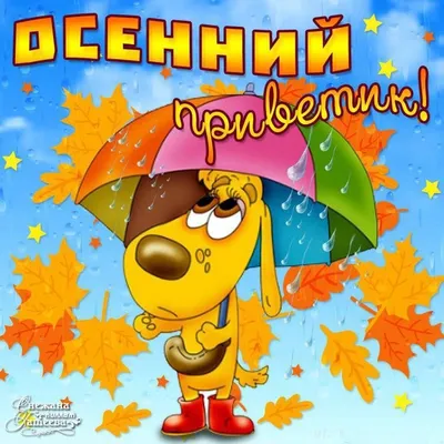 Картинки с надписями! Открытка картинка с осенним приветом, приветик осенний,  осени,!