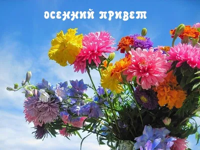 Картина \"Осенний привет\" Катерина Быстрова, купить в Москве | Картина \"Осенний  привет\" Катерина Быстрова по низкой цене 21 000 руб и с бесплатной  доставкой 🚚 в магазине BasicDecor