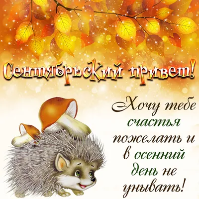 Привет, осенний денечек!