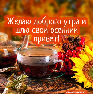 🍁🦃🌾🏵️🍂🏵️🌾🦃🍁 Привет Осенний! | Открытки, Осень, Картинки