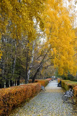 Осенний привет - Эпос земли русской