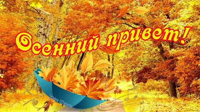 Осенний привет