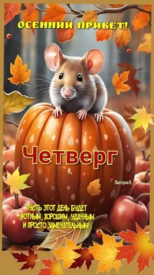 Привет, осенний текст на белой бумажной заметке, засушеные осенние листья  Стоковое Фото - изображение насчитывающей листья, украшение: 253800334