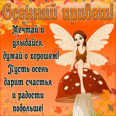 Осенние открытки \"Доброго дня!\" (231 шт.)