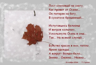 Осенний привет друзьям!. Обсуждение на LiveInternet - Российский Сервис  Онлайн-Дневников