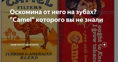 ОТЦЫ ЕЛИ КИСЛЫЙ ВИНОГРАД, А У ДЕТЕЙ НА ЗУБАХ ОСКОМИНА» – тема научной  статьи по наукам об образовании читайте бесплатно текст  научно-исследовательской работы в электронной библиотеке КиберЛенинка