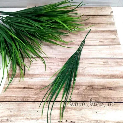 Осока власовидная 'Frosted Curls' (Carex comans 'Frosted Curls')