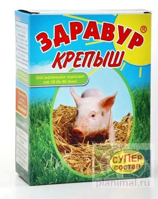 Отъем поросят начинается задолго до «отъема» - Статьи - pig333.ru, от фермы  к рынку