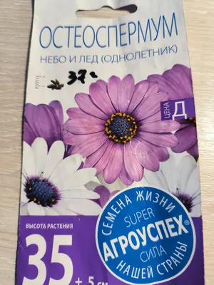 Остеоспермум Небо и лед 3 уп Агрохолдинг Поиск 28812614 купить за 144 ₽ в  интернет-магазине Wildberries