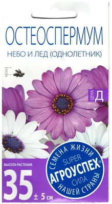 Семена цветов Остеоспермум 'Небо и Лёд'. 0,1 г в Бишкеке купить по  ☝доступной цене в Кыргызстане ▶️ max.kg
