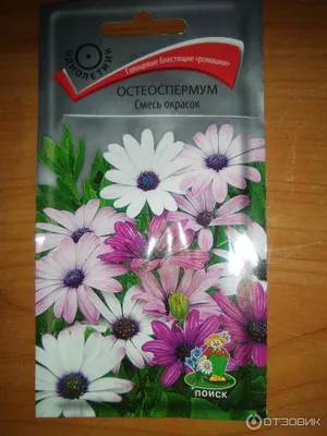Семена цветов Остеоспермум \"Небо и лед\" смесь, О, 0,2 г (3266308) - Купить  по цене от 16.10 руб. | Интернет магазин SIMA-LAND.RU