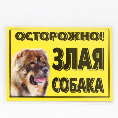 Табличка ламинированая \"Осторожно! Злая собака\" Кавказец (7347089) - Купить  по цене от 47.00 руб. | Интернет магазин SIMA-LAND.RU
