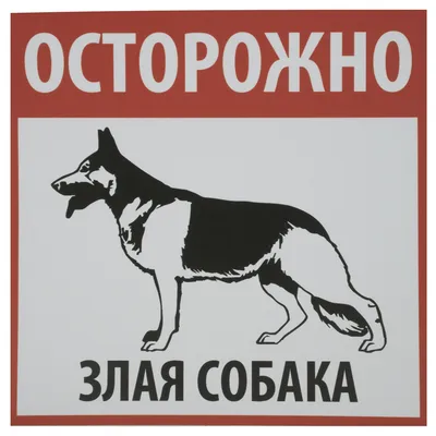 Табличка «Осторожно! Злая собака» по цене 158 ₽/шт. купить в Рязани в  интернет-магазине Леруа Мерлен
