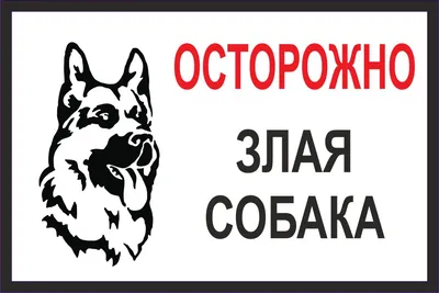 Табличка «Осторожно злая собака», купить в Екатеринбурге — vyveski66.ru