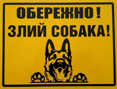 Табличка \"Осторожно злая собака!\", пластик. (ID#1496974394), цена: 160 ₴,  купить на Prom.ua