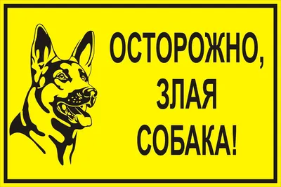 Купить табличку «Осторожно, злая собака» желтую за ✓ 65 руб.