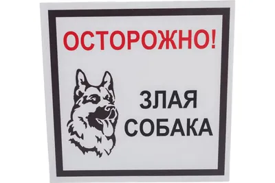 Табличка Осторожно злая собака Размер А4, 21 см, 29 см - купить в  интернет-магазине OZON по выгодной цене (373496217)