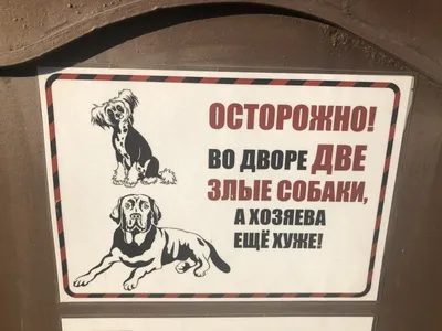 Табличка Осторожно злая собака! Кот тоже не внушает доверия 14х20 см (код  90716.1) | Компания FoxPrint