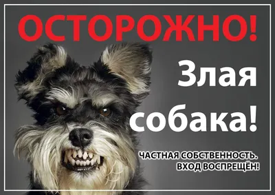 Табличка предупреждающая Осторожно! Злая собака – купить в Москве, цены |  ГАСЗНАК