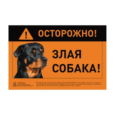 Знак «Осторожно злая собака» - купить по выгодной цене на KALOMBO.RU