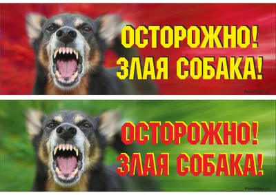 Табличка осторожно злая собака » maket.LaserBiz.ru - Макеты для лазерной  резки
