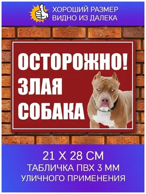 Табличка \"ОСТОРОЖНО, ЗЛАЯ СОБАКА\" Ротвейлер Полноцвет (Акция) — Купить на  BIGL.UA ᐉ Удобная Доставка (1761039791)