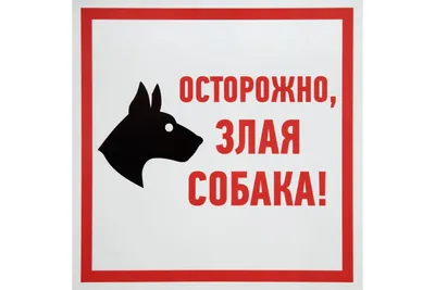 Табличка ПВХ информационный знак «Осторожно Злая Собака» АБК-СИЛА 200x200мм  5шт 560411 - выгодная цена, отзывы, характеристики, фото - купить в Москве  и РФ