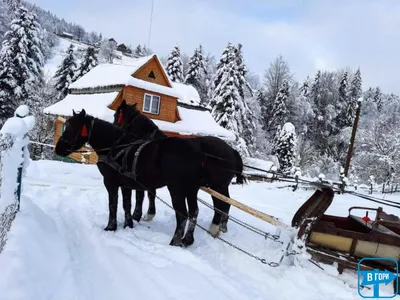 Отдых в Яремче - Отзывы, цены, фото - Отдых в Яремче зимой