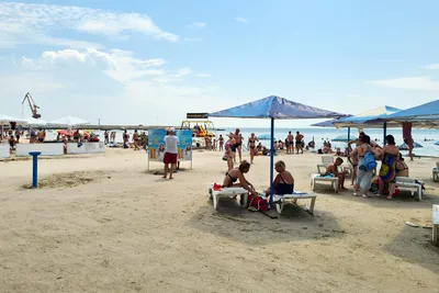 Сколько стоит отдохнуть в Скадовске летом 2021 года – как добраться на  остров Джарыглач | РБК-Україна