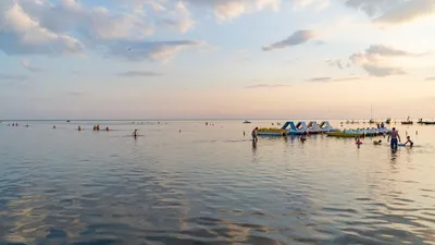 Отдых на Черном море в Скадовске был испорчен из-за водорослей | Стайлер